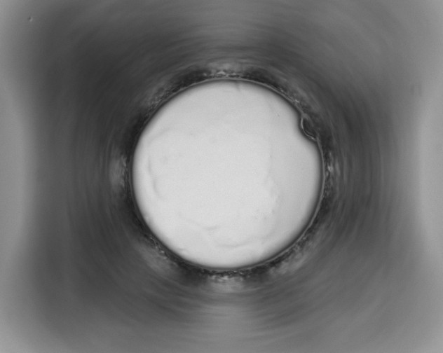 X0000115160649200911241550