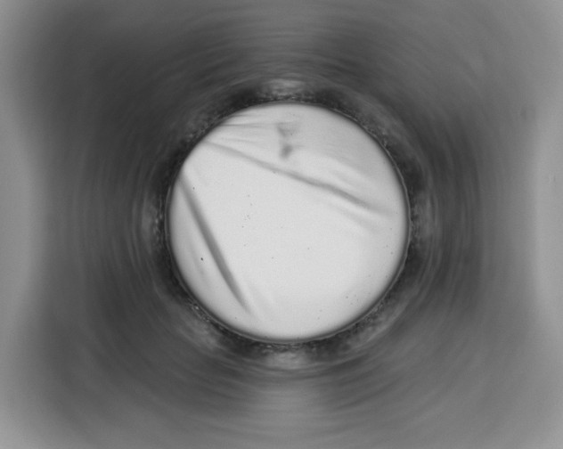 X0000115160653200911241550