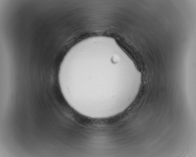 X0000115160656200911241550