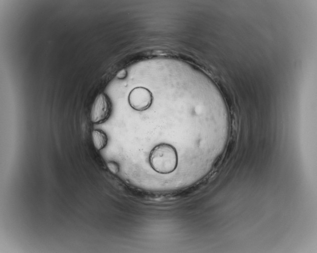 X0000115160657200911241550