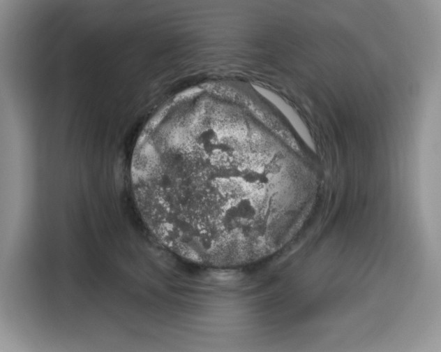 X0000115160659200911241550