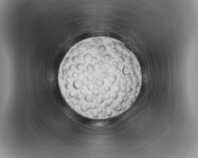 X0000115160662200911241550