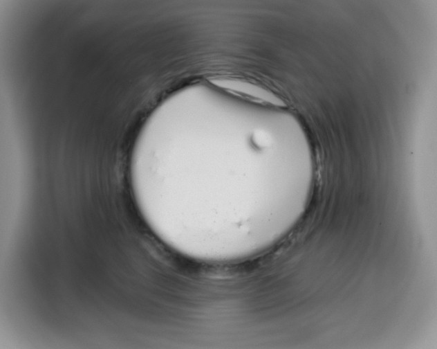 X0000115160664200911241550