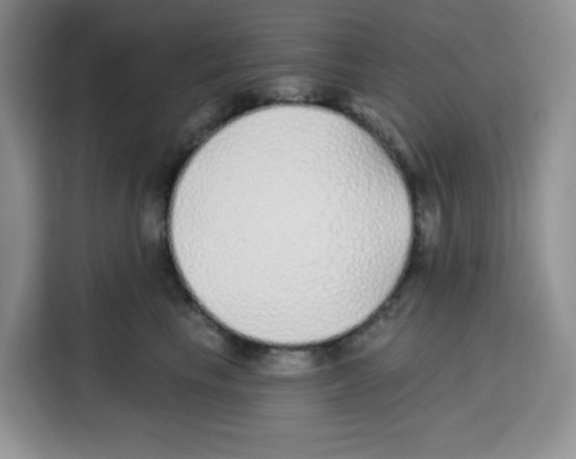 X0000115160665200911241550