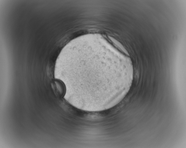 X0000115160666200911241550