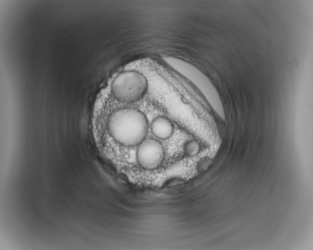 X0000115160668200911241550