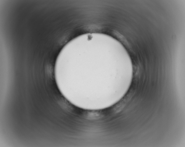 X0000115160669200911241550