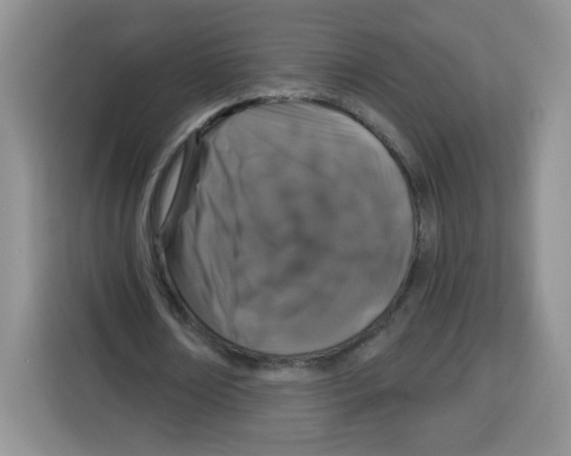 X0000115160674200911241549