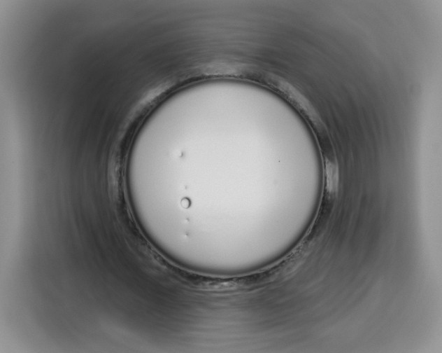 X0000115160675200911241549