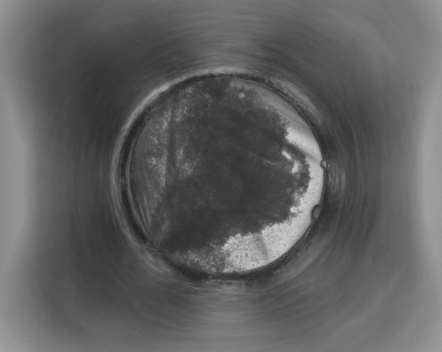 X0000115160676200911241549