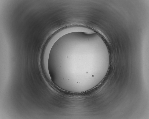 X0000115160677200911241549