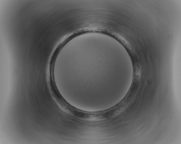 X0000115160678200911241549