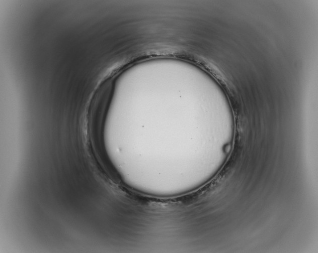 X0000115160679200911241549