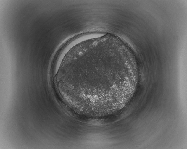 X0000115160680200911241549