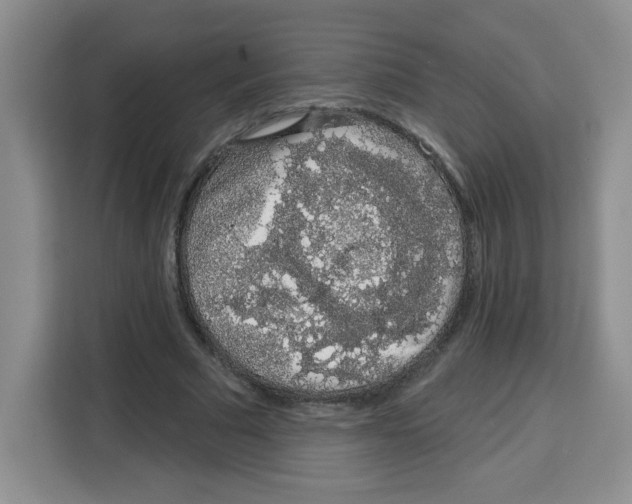 X0000115160681200911241549