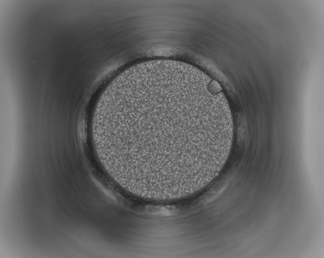 X0000115160683200911241549