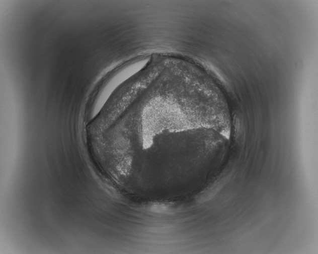 X0000115160684200911241549