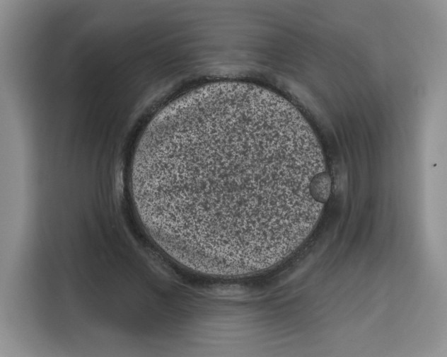 X0000115160685200911241549