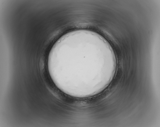 X0000115160687200911241549