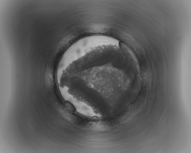 X0000115160688200911241549