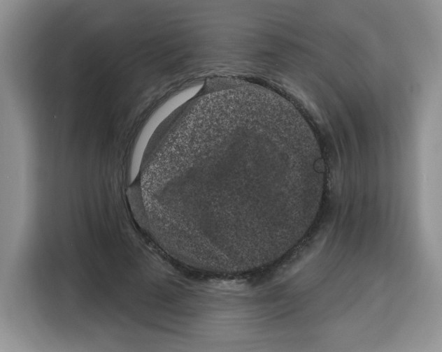 X0000115160689200911241549