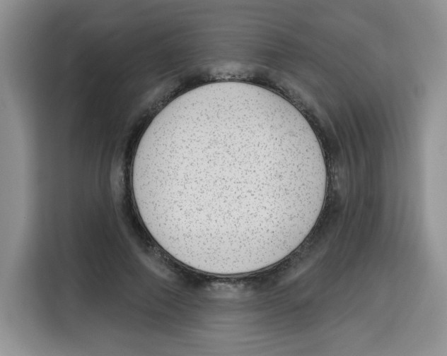 X0000115160690200911241549