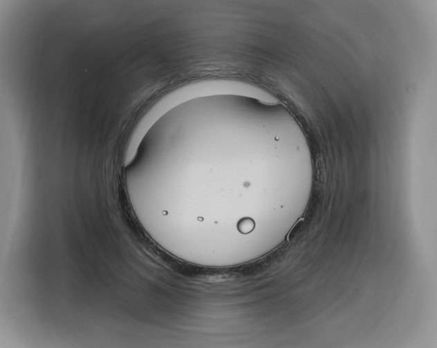 X0000115160692200911241549