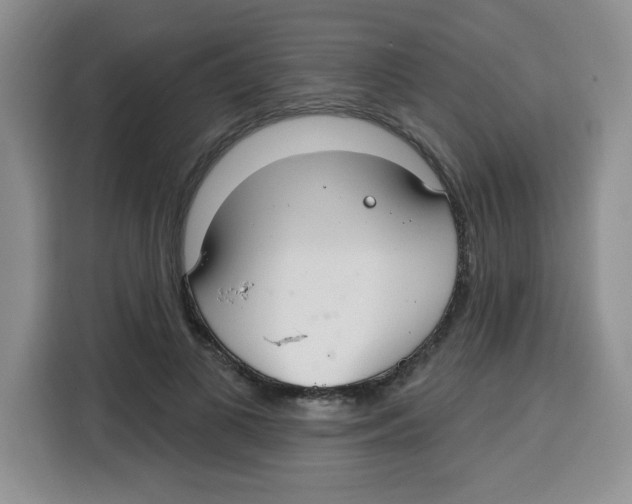 X0000115160693200911241549