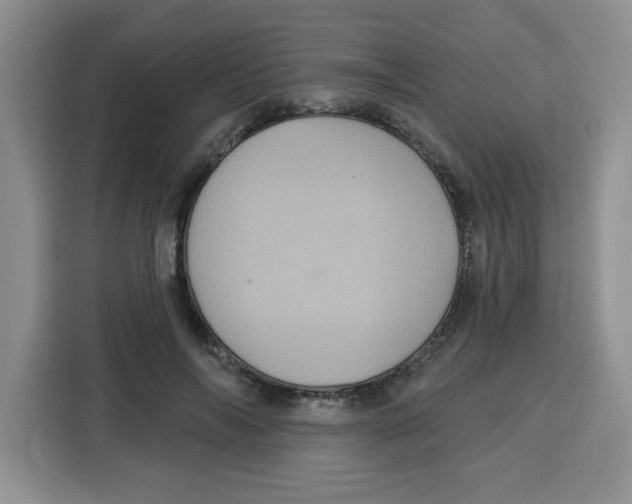 X0000115160694200911241549