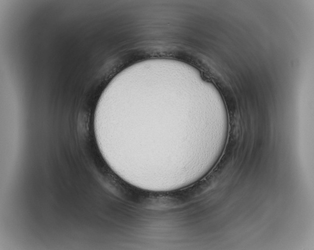 X0000115160695200911241549