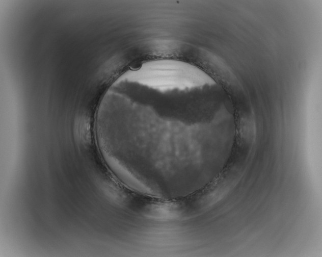 X0000115160696200911241549