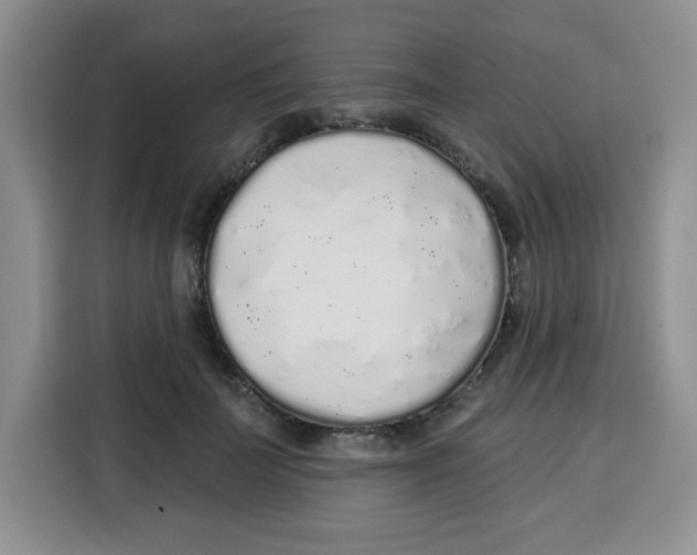 X0000115160699200911241549