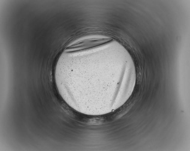 X0000115160700200911241549