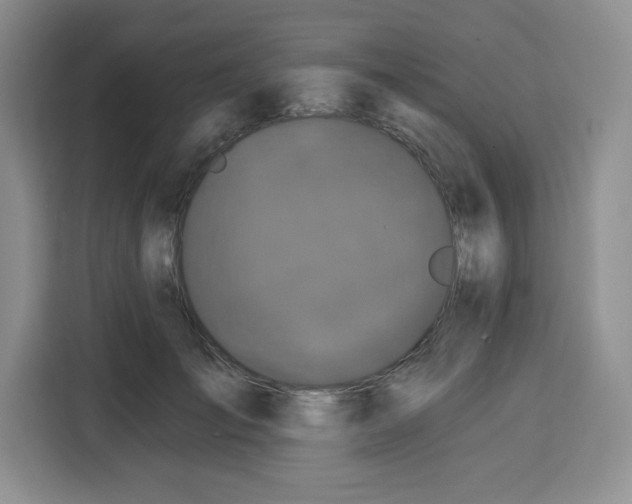 X0000115160701200911241549