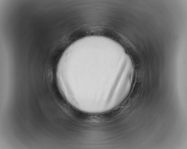 X0000115160703200911241549