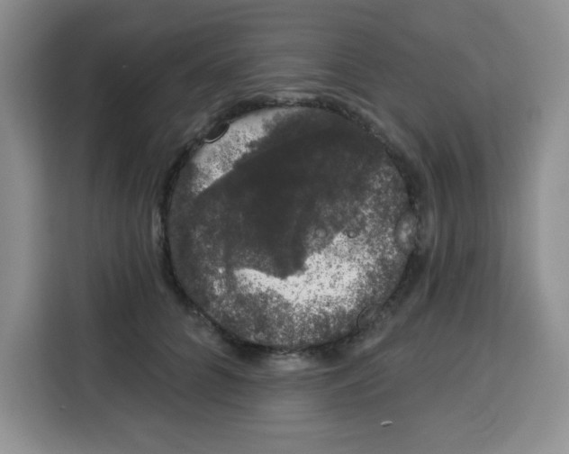 X0000115160704200911241549