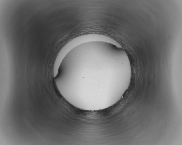 X0000115160705200911241549