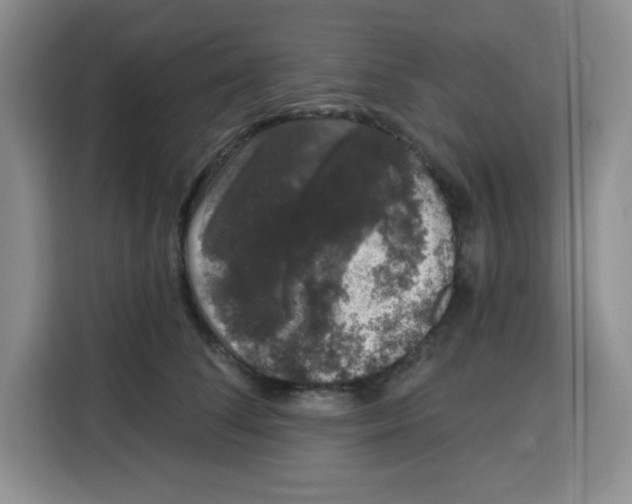 X0000115160708200911241549