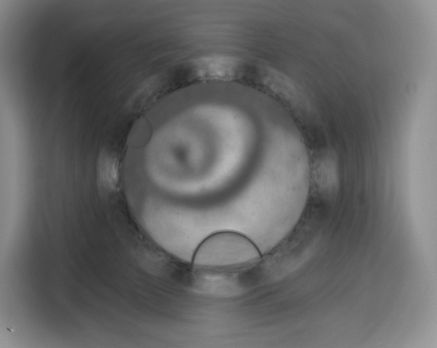 X0000115160709200911241549