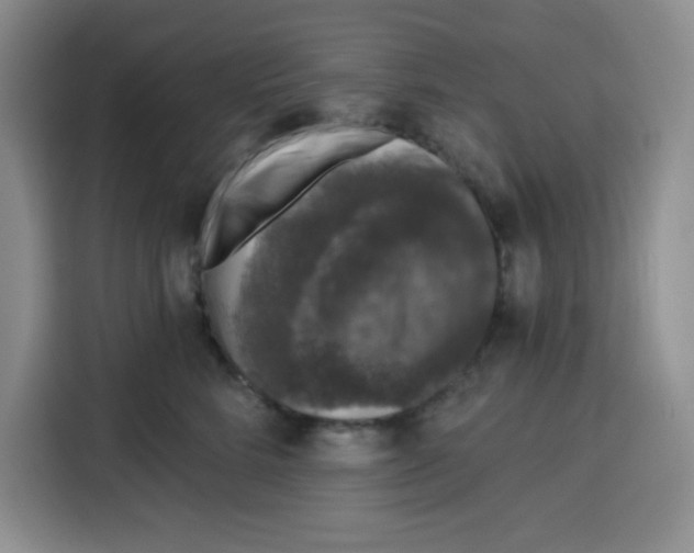 X0000115160712200911241549