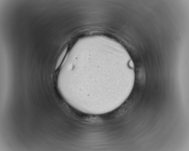 X0000115160715200911241549