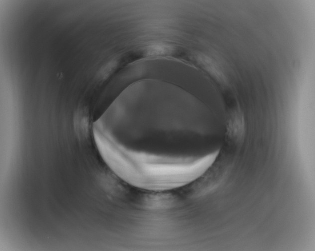 X0000115160716200911241549