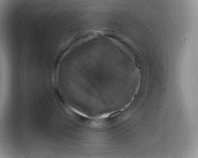 X0000115160720200911241549