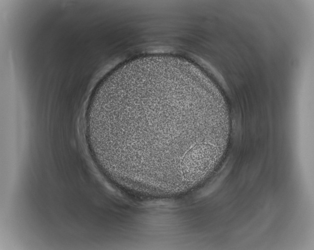 X0000115160721200911241548