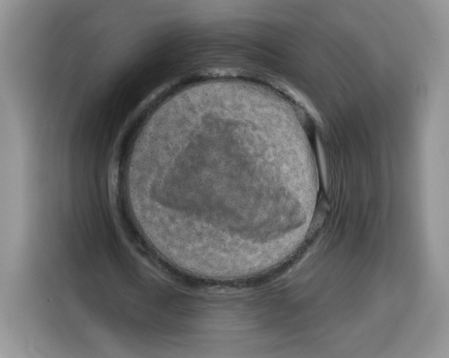 X0000115160722200911241548