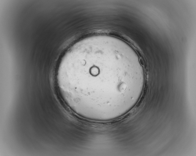 X0000115160725200911241548