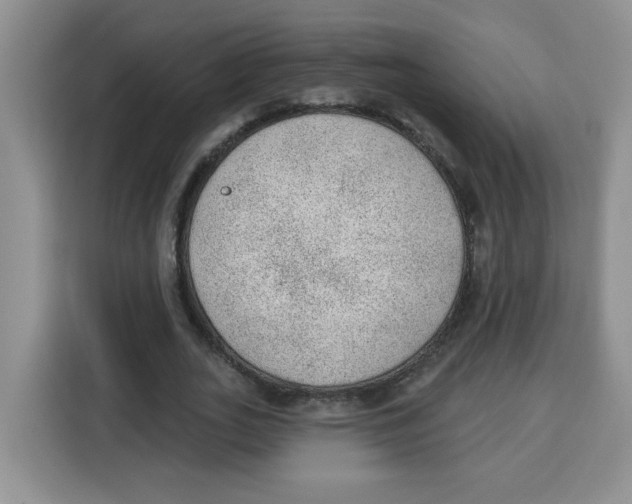 X0000115160727200911241548