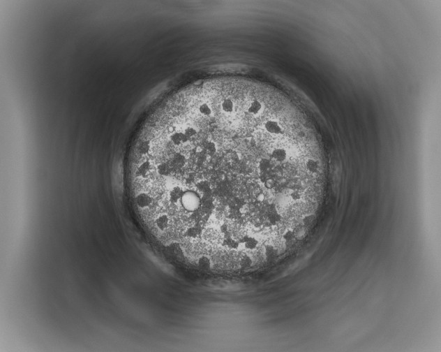 X0000115160729200911241548