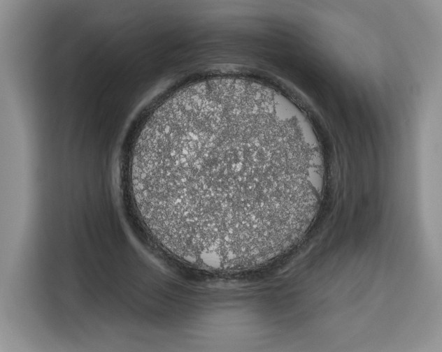 X0000115160730200911241548