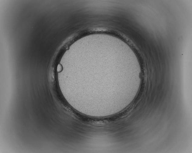 X0000115160731200911241548